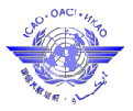 International Civil Aviation Organization